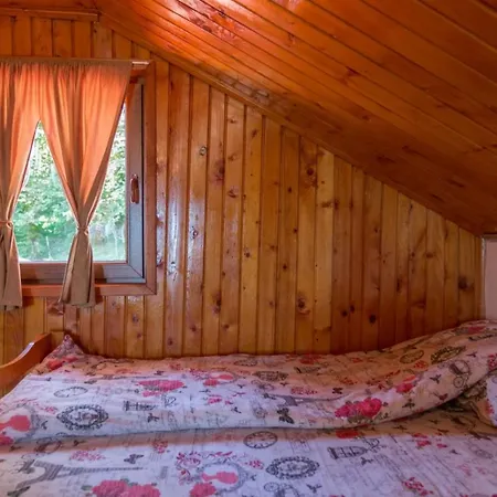 Casa vacanze Planinska Kuca Petrovic Zaovine